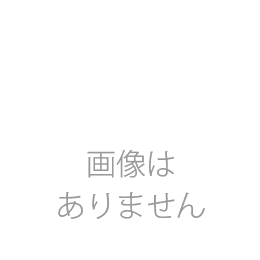 ローゼンメイデン 水銀燈サーベル